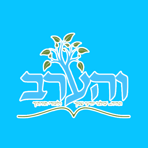 Brand Five Brand Five